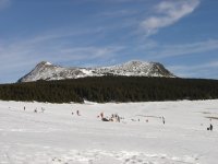 chambres hotes Calmeraie Ardeche Gerbier de Jonc Ray-Pic France