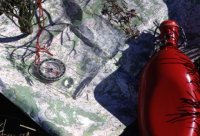 chambres hotes Calmeraie Ardeche Gerbier de Jonc Ray-Pic France